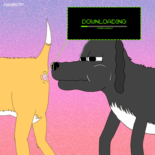 Animation Domination Lol GIF by gifnews