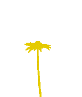 Flower Oerrr Sticker by Natuurmonumenten