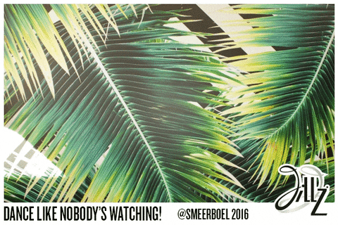 major booth smeerboel 2016 GIF by Jillz