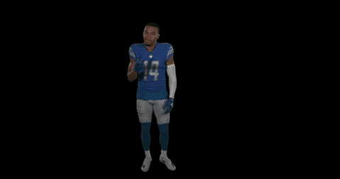 St Brown No GIF by Detroit Lions