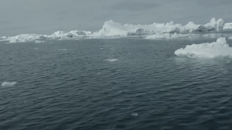 ocean worldservice GIF by NOWNESS