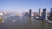 PAL-V future dutch liberty transformer GIF