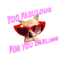 For You Dog Sticker by Jordy Aarts