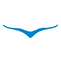 HOKARacer sports fitness blue run Sticker