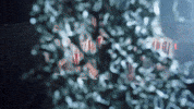 Cs2 Lnz GIF by BLAST