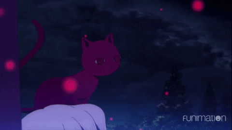 black clover cat GIF by Funimation