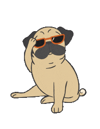 Wink Swag Sticker by The Laughing Pug