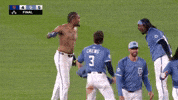 Washington Nationals Win GIF by MLB