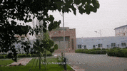 GIF by Filmin