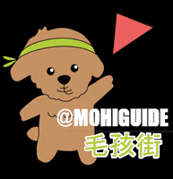 mohiguide dog mohi mohiguide GIF