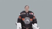 Hockey Del GIF by Löwen Frankfurt