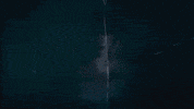 taylor swift style GIF by Nikos Kontovas