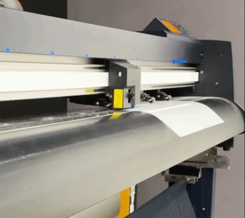 DriveSv giphygifmaker GIF