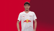 Football Rbl GIF by RB Leipzig