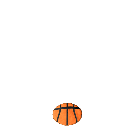 March Madness Basketball Sticker by Nickelodeon