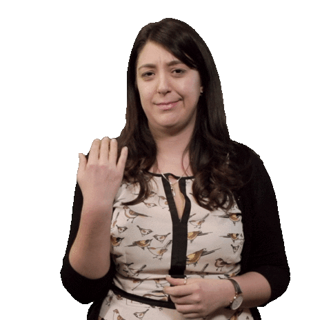 Seattle_Friends giphyupload sparkdigital Sticker