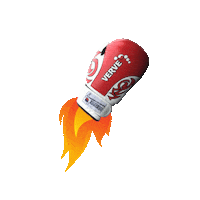 Fire Karate Sticker by Verve Taekwondo