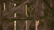 Playstation 4 Game GIF by Naughty Dog