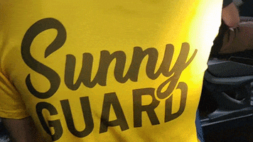 sunnytech sunny guard sunnytech sunnyguard GIF