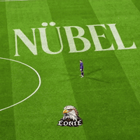 Besiktas GIF