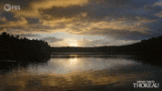 Simplify Henry David Thoreau GIF by PBS
