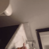GIF by andymilonakis