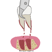 Dentistdoodles Sticker