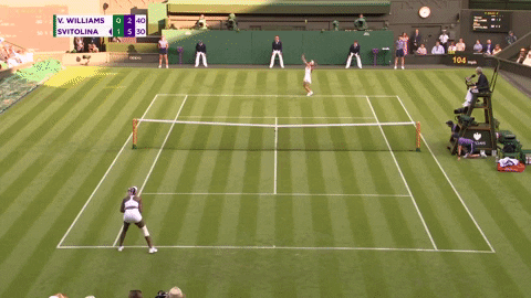 GIF by Tennis Channel