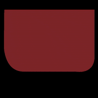 monsakbags red shape leather leer GIF