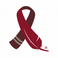 AICAF aicaf powwowforhope pfh23 GIF