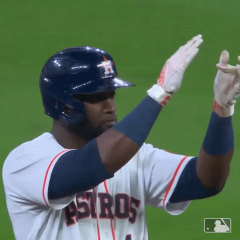 Baseball Applause GIF by MLB