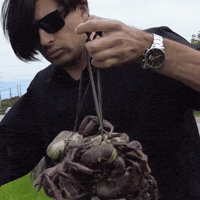 Sea Crab GIF