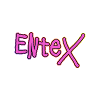 Logo Sticker by EnteX