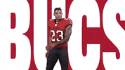 Sean Murphy-Bunting Football GIF by Tampa Bay Buccaneers