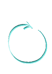 fisac gym pike gymnast ao Sticker