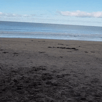 janinewittig relax ocean swing meer GIF