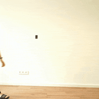Claneo  GIF