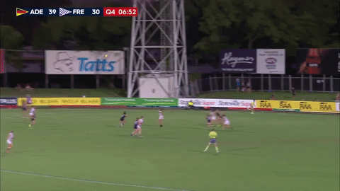 randall GIF by Adelaide Crows