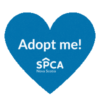 Cats Adopt Sticker by Nova Scotia SPCA