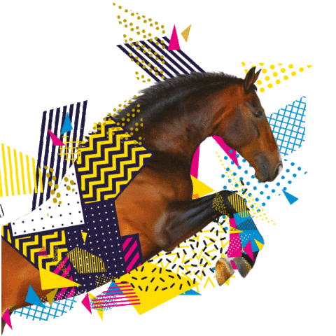 DepartementduCalvados giphyupload calvados equidays moncalvados Sticker