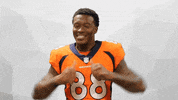Denver Broncos Football GIF by Broncos