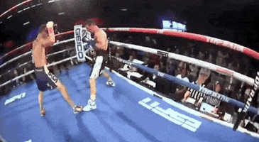 toprank fight boxing fighting champion GIF