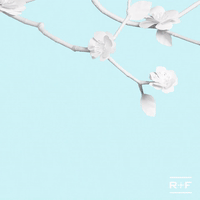 GIF by Rodan + Fields