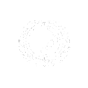 Sticker by Insight BJJ