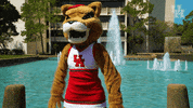 houstoncougars houston sasha gocoogs shasta GIF