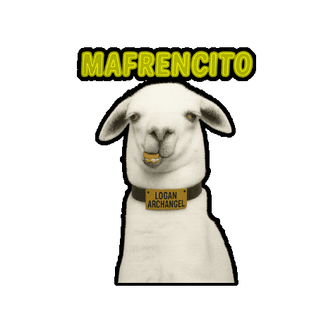 My Friend Llama Sticker