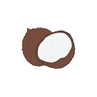 ExoticFoodThailand vegan vegetarian coconuts coconutmilk Sticker