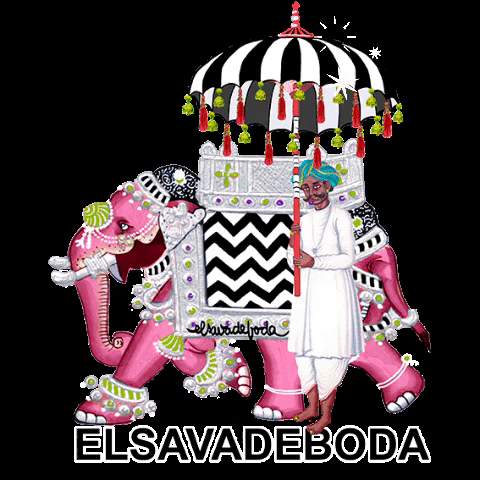Evdb GIF by ELSAVADEBODA