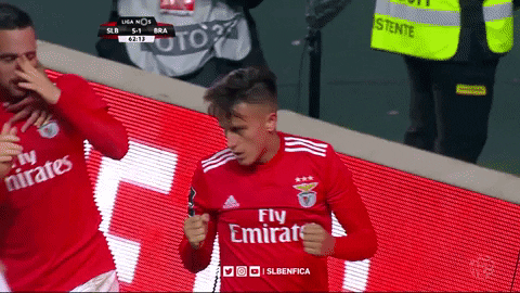 sl benfica hug GIF by Sport Lisboa e Benfica