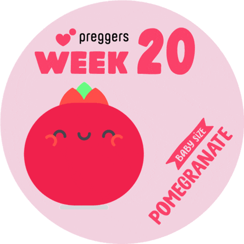 Baby Pregnancy Sticker by Preggers